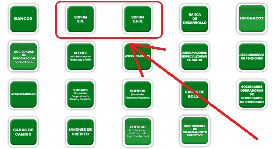 Ejemplos de las SOFOMES en el Buró de PROFECO